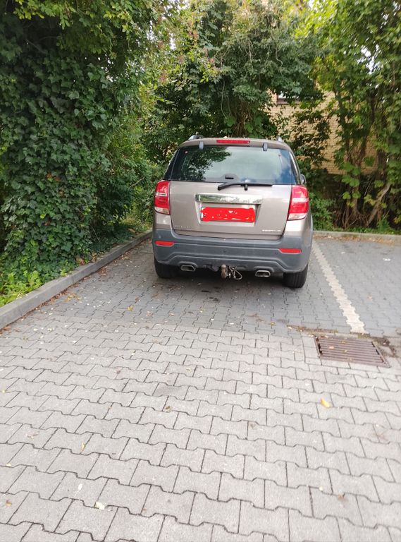 Bild des Angebotes Chevrolet Captiva 2.2TD LT+ AWD 7-Sitzer LT+