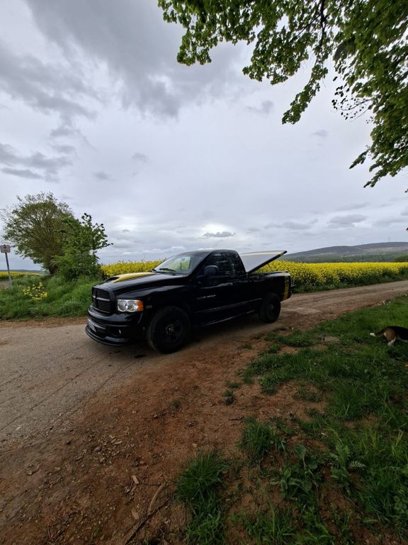 Bild des Angebotes Dodge RAM Rumble Bee