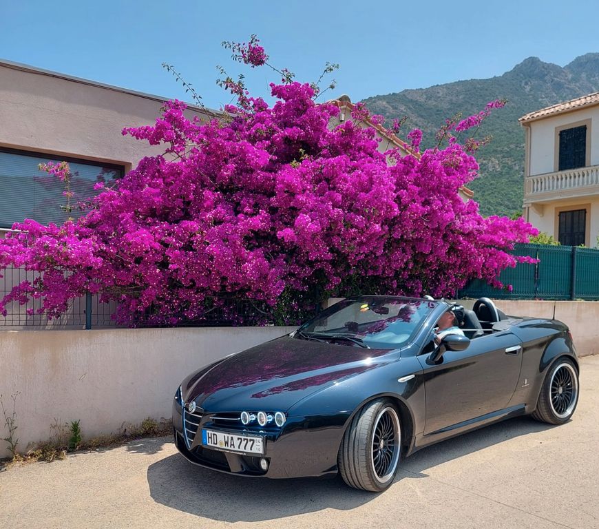 Bild des Angebotes Alfa Romeo Spider 939- 2.2 JTS 16V Exclusive