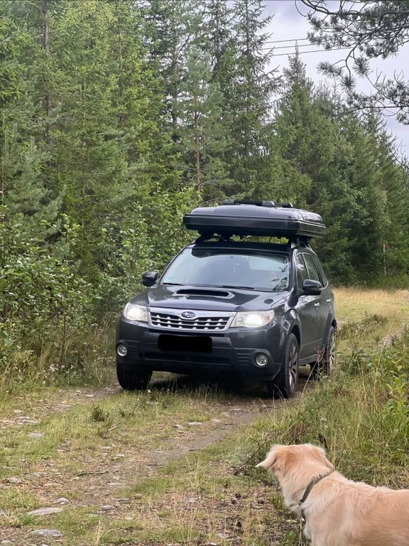 Subaru Forester Allrad Autarker Camper mit Dachzelt