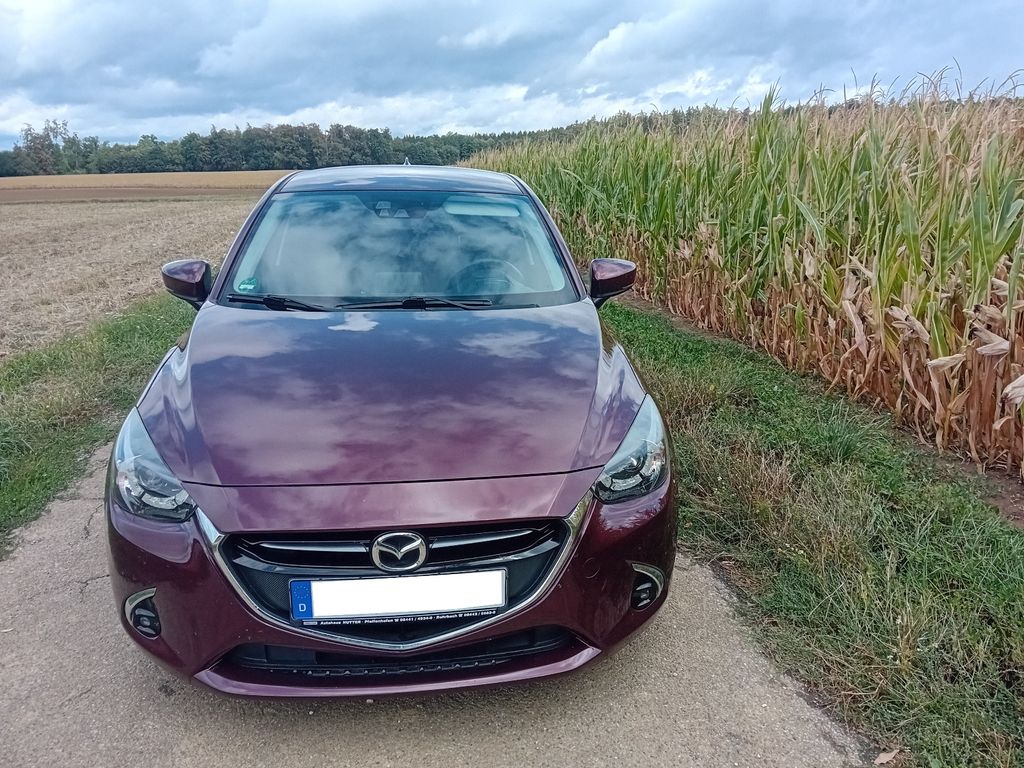 Bild des Angebotes Mazda 2 SKYACTIV-G 90 KIZOKU Intense KIZOKU Intense