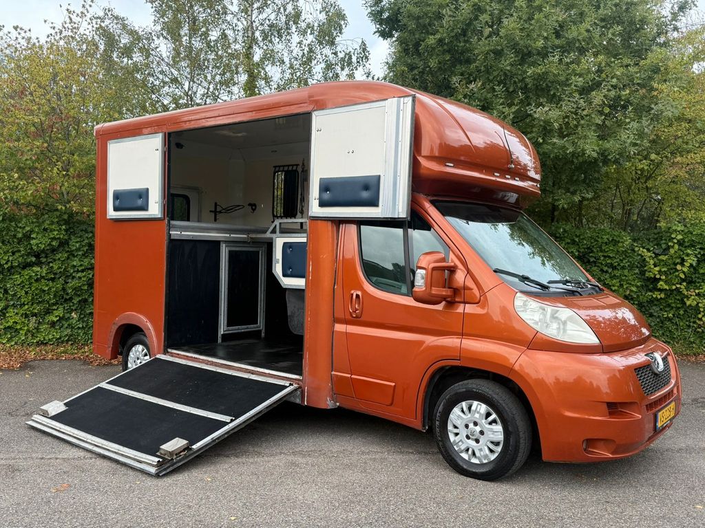 Bild des Angebotes Peugeot Boxer 3.0 Pferdewagen Horsetruck Transporter
