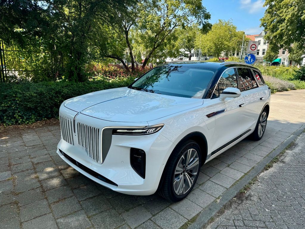 Bild des Angebotes Hongqi E-HS9