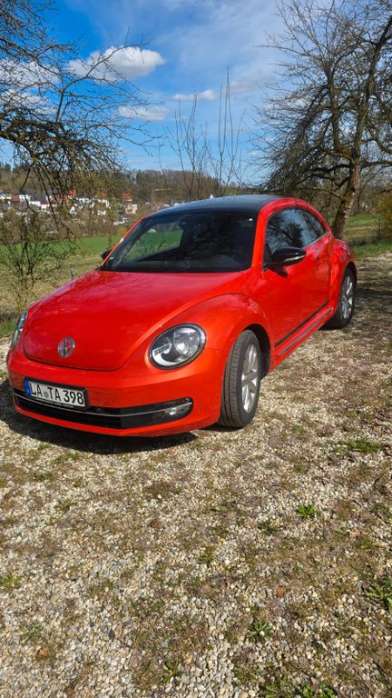 Bild des Angebotes Volkswagen Beetle 1.2 TSI BMT CLUB CLUB