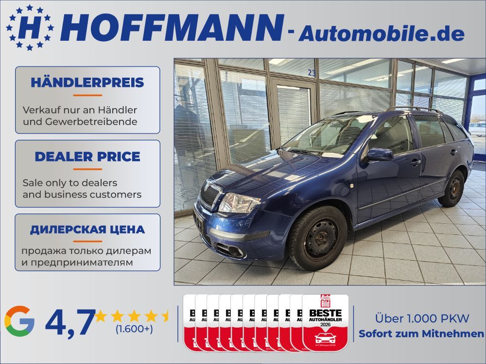 Skoda Fabia ohne Tüv