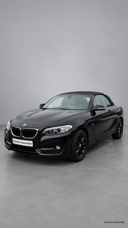 Bild des Angebotes BMW 220i Cabrio Luxury Line Navi-Xeon-Klimaauto.