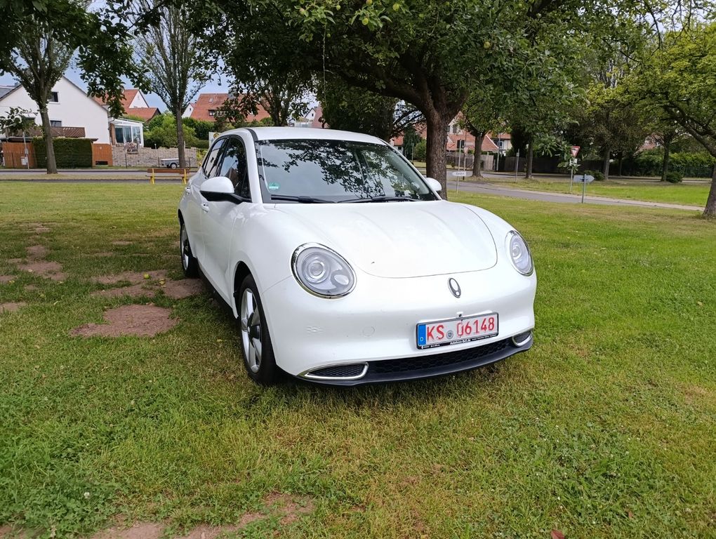 Bild des Angebotes ORA ANDERE Ora 03 126 kW 300 leder Klima Navi Kamera