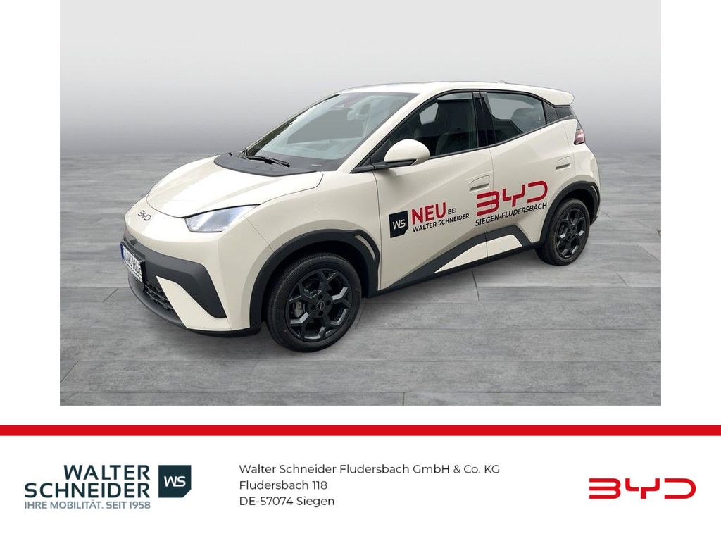 Bild des Angebotes BYD Dolphin Surf Boost