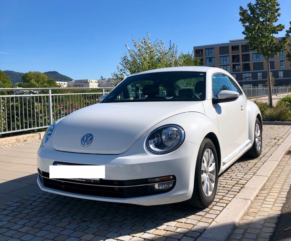 Bild des Angebotes Volkswagen New Beetle