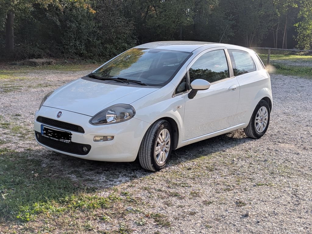 Bild des Angebotes Fiat Punto Evo