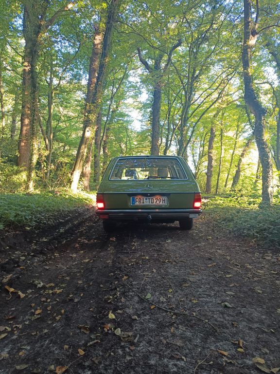 Bild des Angebotes Mercedes-Benz S 123 Tüv neu, 300 D, OM 617 Schalter
