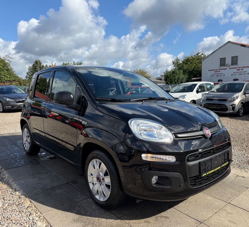 Bild des Angebotes Fiat Panda Easy Inspektion neu HU Neu Allwetterreifen