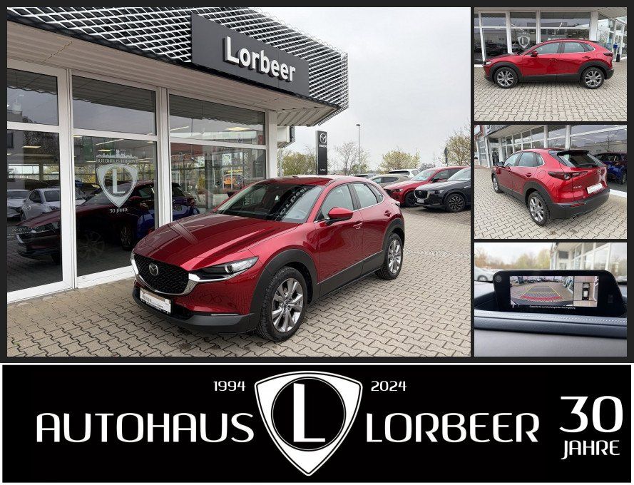 Bild des Angebotes Mazda CX-30 SKYACTIV-D 1.8L 116PS 6AG SELECTION ACT-P