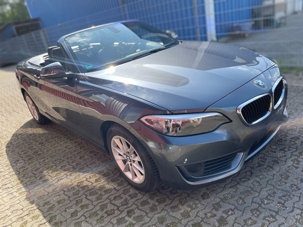BMW 218i Cabrio Navi Sportsitze Teilleder HIFI PDC