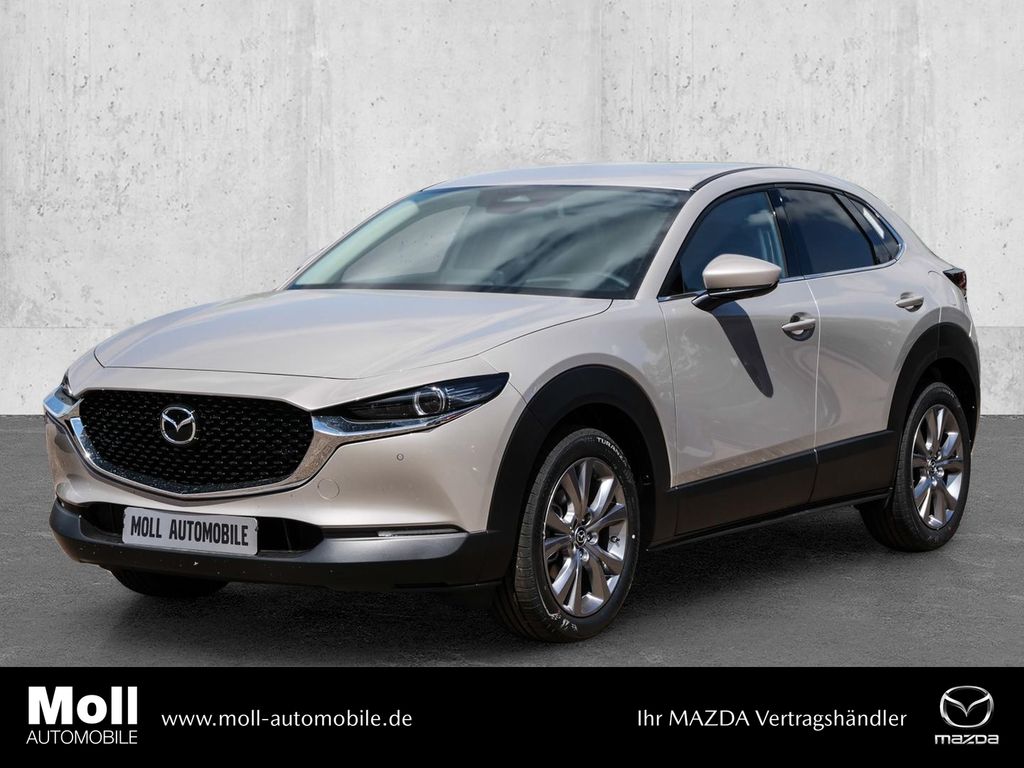 Bild des Angebotes Mazda CX-30 2025 2.5L e-SKYACTIV G 140ps 6MT FWD Exclu