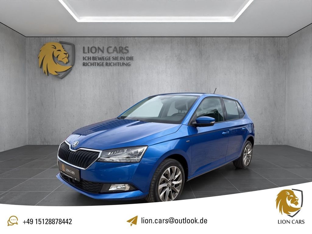 Bild des Angebotes Skoda Fabia 1.0 TSI DSG CLEVER*NAVI*ACC*CAM*AHK*LED*
