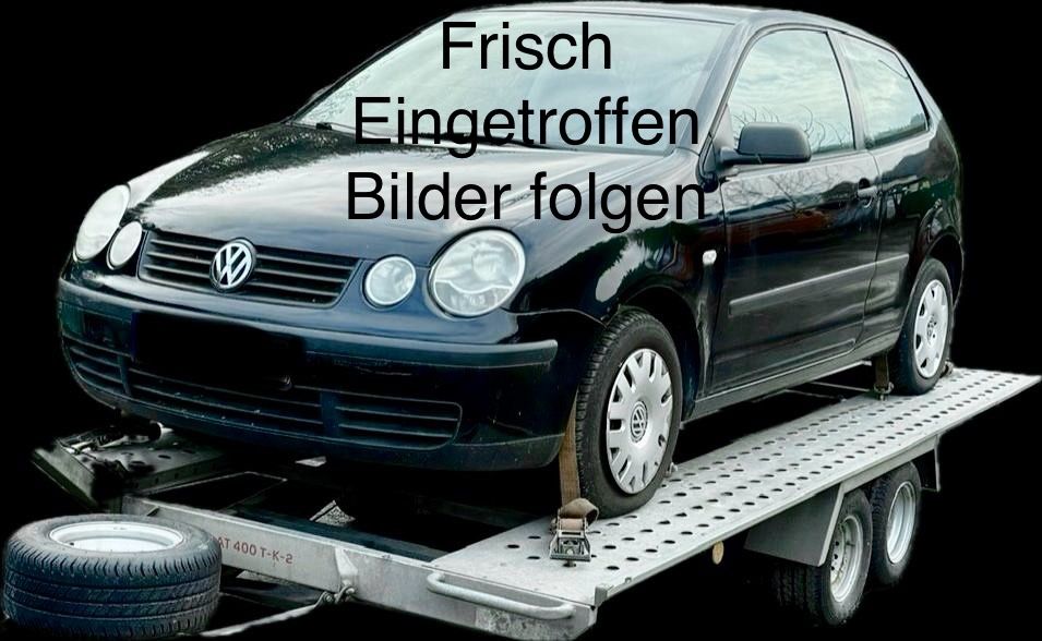 Bild des Angebotes Volkswagen Polo 1.2 Klima, RCD,. HU/AU NEU