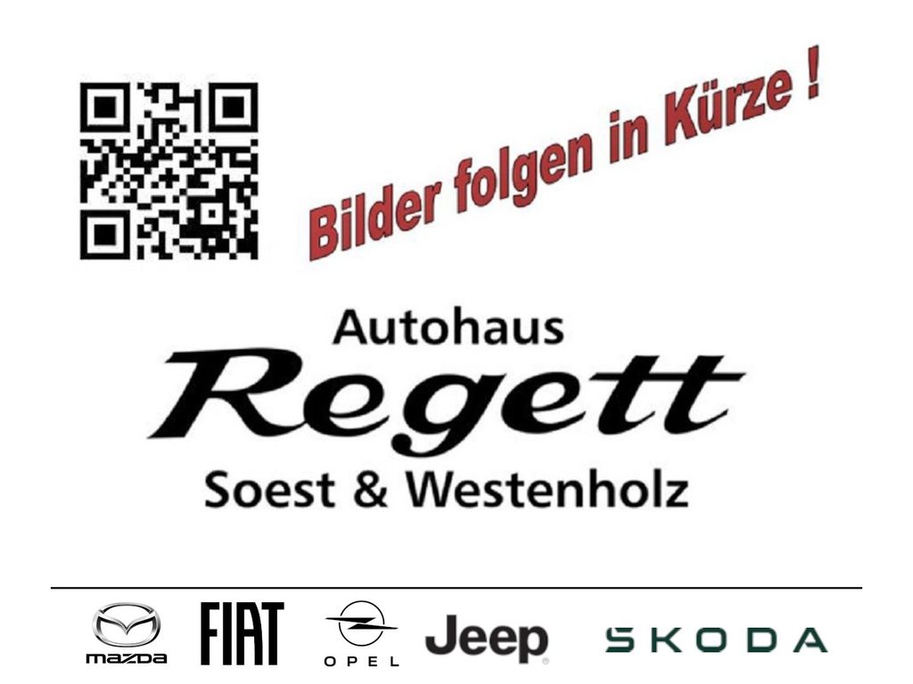 Bild des Angebotes Fiat Panda Garmin 1.0 Mild Hybrid EU6d Klimaautom DAB