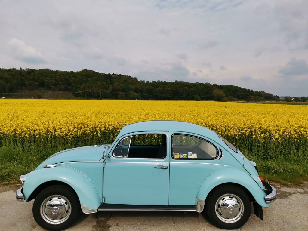 Bild des Angebotes Volkswagen Käfer