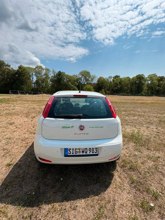 Bild des Angebotes Fiat Punto 1.4 8V Natural Power LOUNGE LOUNGE
