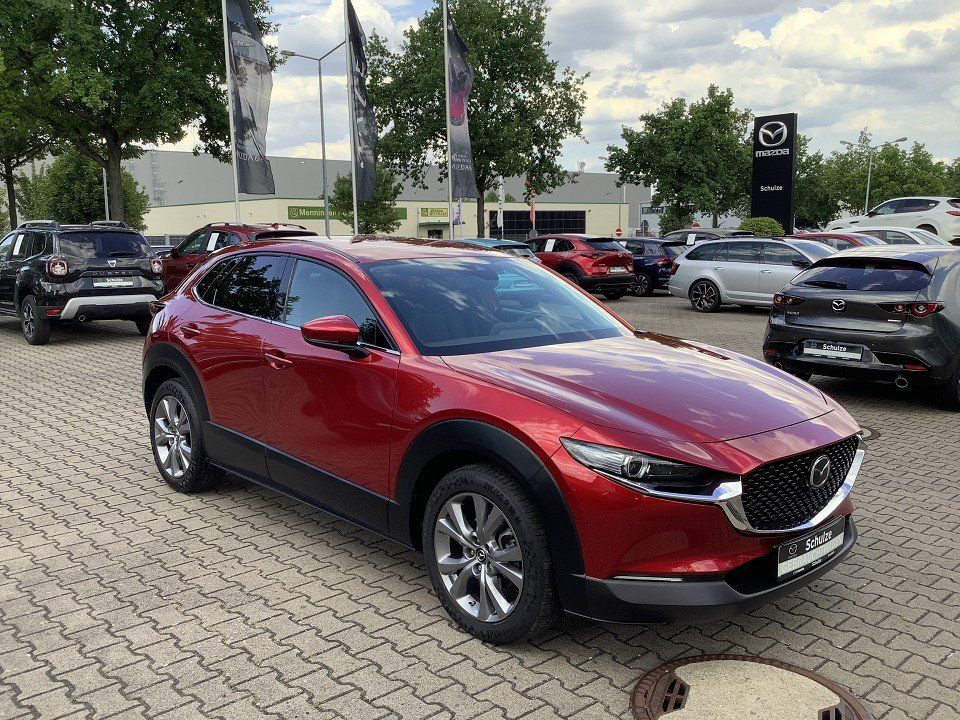 Bild des Angebotes Mazda CX-30 Selection Matrix-LED Leder Bose AHK abnehm