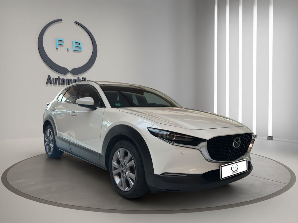 Bild des Angebotes Mazda CX-30 Selection 2WD/HEAD-UP/RFK/UVM/TOP!