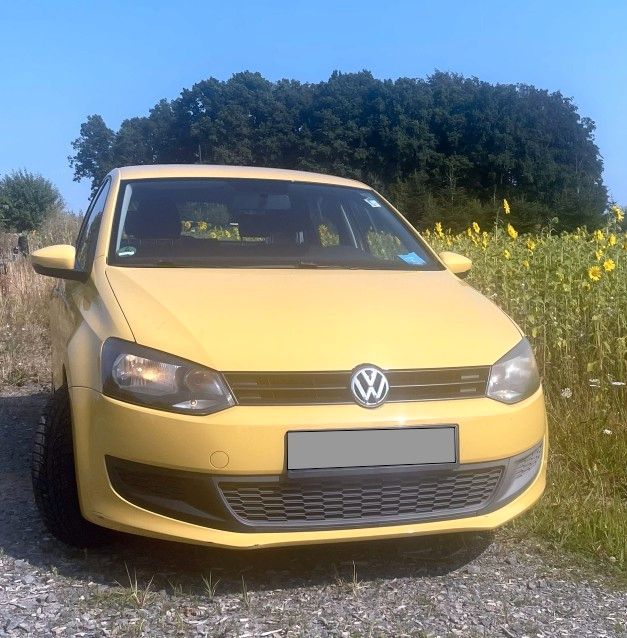 Bild des Angebotes Volkswagen Polo 1.2 - 70 PS - Ringeltaube - top Zustand