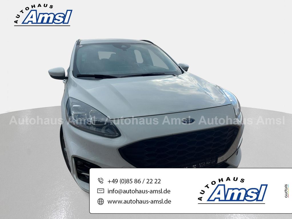 Bild des Angebotes Ford Kuga 1.5 EcoBoost ST-Line X*Navi*RFK*Winterpaket
