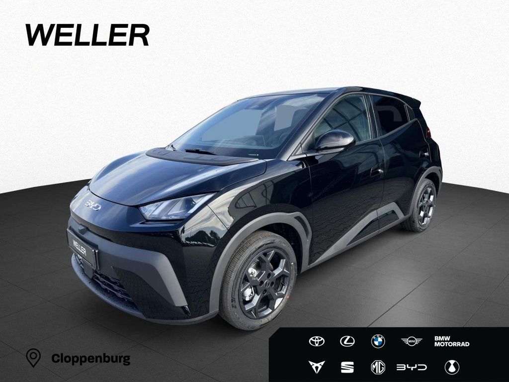 Bild des Angebotes BYD DOLPHIN SURF Comfort Polar Night Black& Navi LED