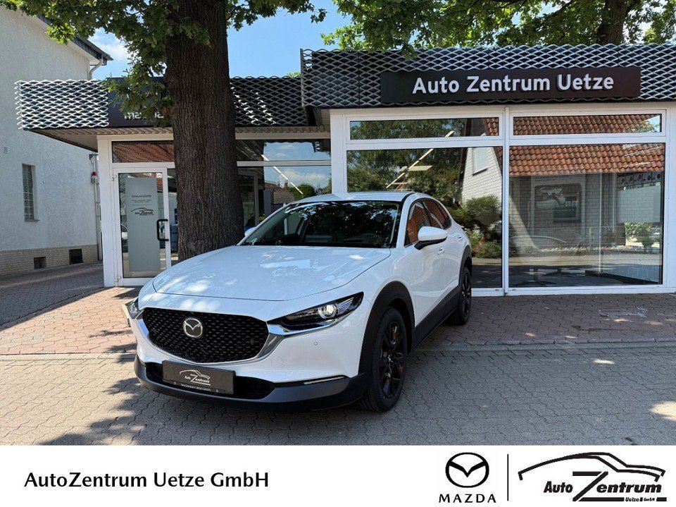 Bild des Angebotes Mazda CX-30 2.5 TAKUMI Leder Bose 360Kamera Shz+Lhz