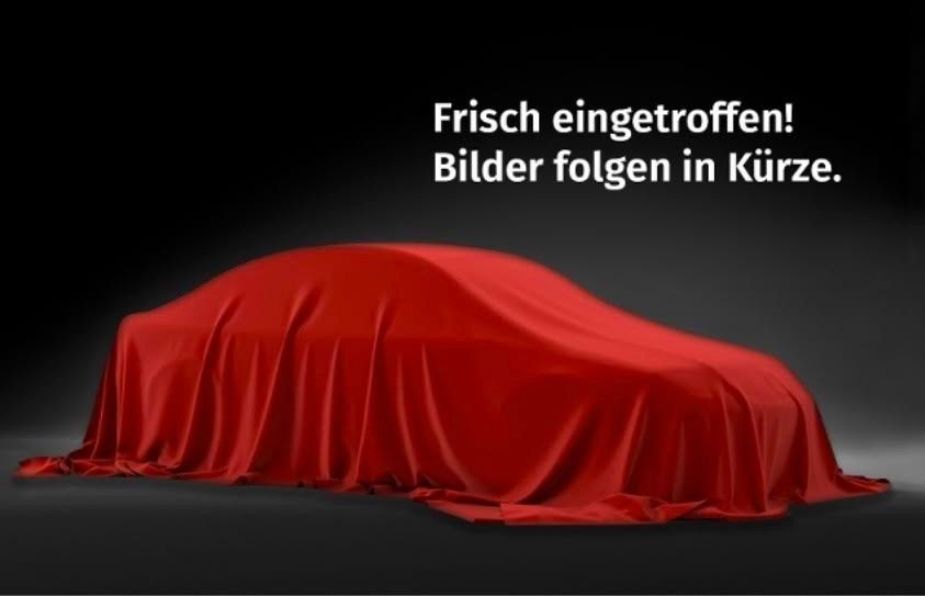 Bild des Angebotes Fiat Panda More 1.2 Klima Servo 1. Hand EF ZV BH