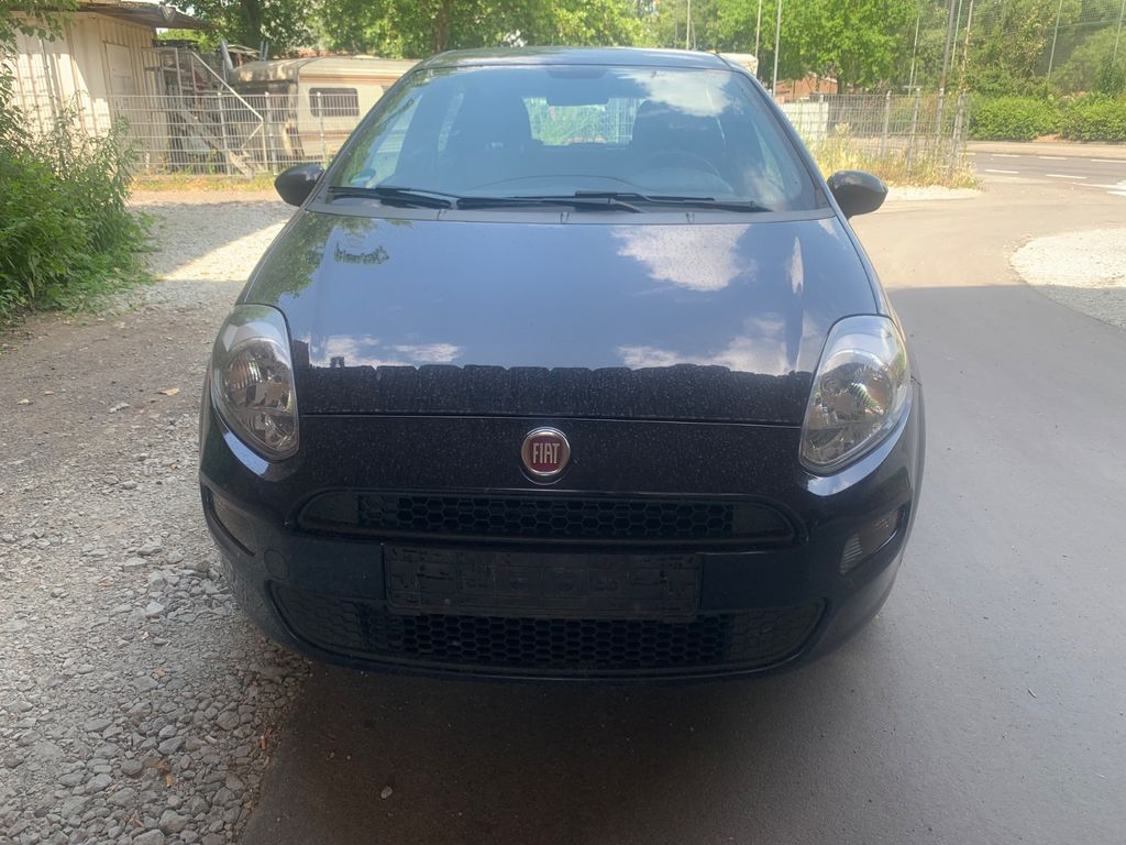 Bild des Angebotes Fiat Punto Pop