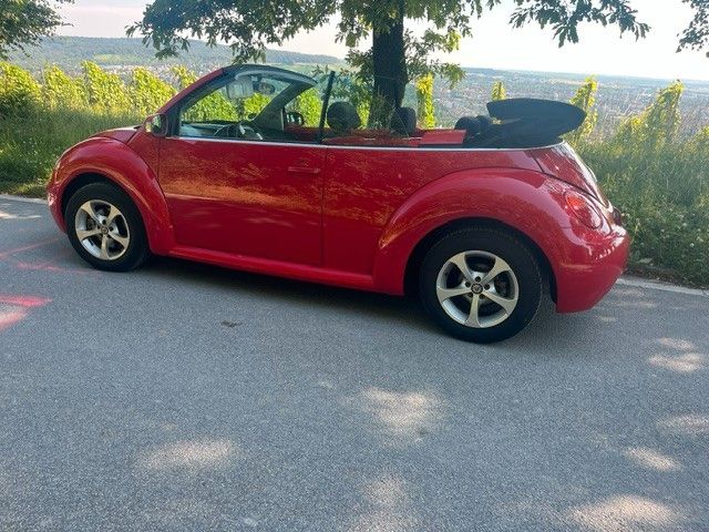 Bild des Angebotes Volkswagen Beetle