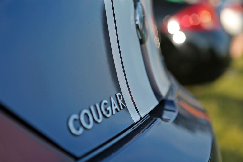 Bild des Angebotes Ford Cougar 2.5 V6 24V Wild at Heart