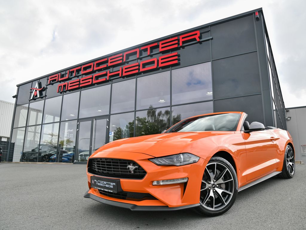 Bild des Angebotes Ford Mustang Cabrio 2.3 EcoBoost 55-Paket* 4-Rohr*