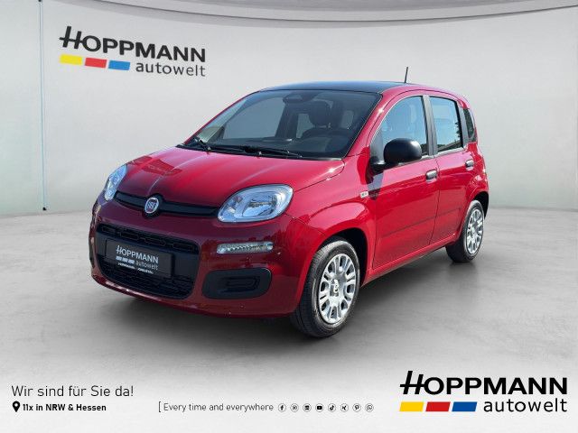Bild des Angebotes Fiat Pandina ICON Hybrid MHEV*KLIMA*PDC*USB*DAB*RADIO