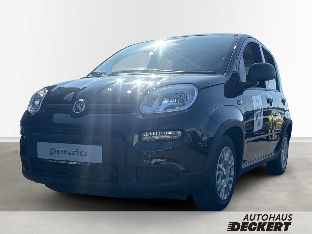 Bild des Angebotes Fiat Panda 1.0 Mild Hybrid EU6e, City Paket, Bluetoot