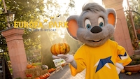 Einen Europa-Park Gutschein zu gewinnen